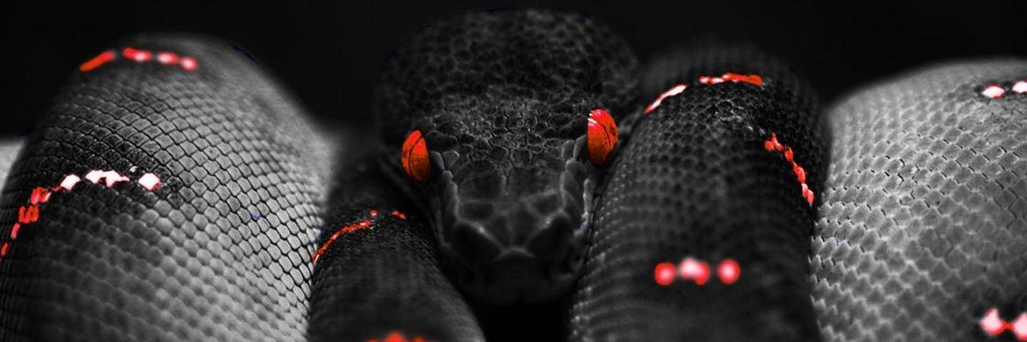 eversonxavier4's profile banner image