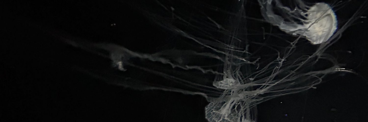 OTBvv's profile banner image