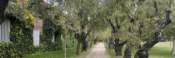 ncabarri Profile Banner