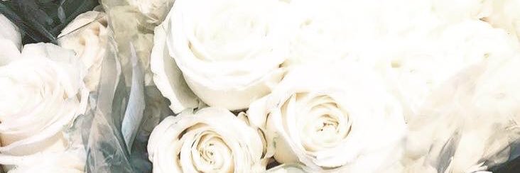 elizabeth_midg's profile banner image