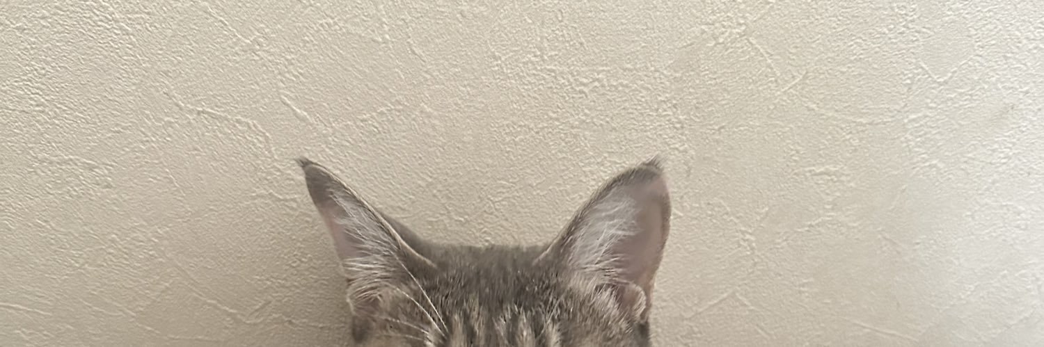 omg13omg's profile banner image
