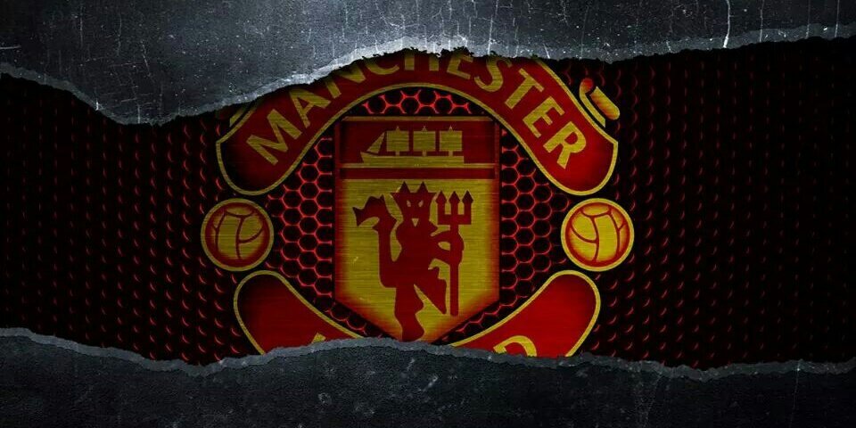 ant_13th's profile banner image