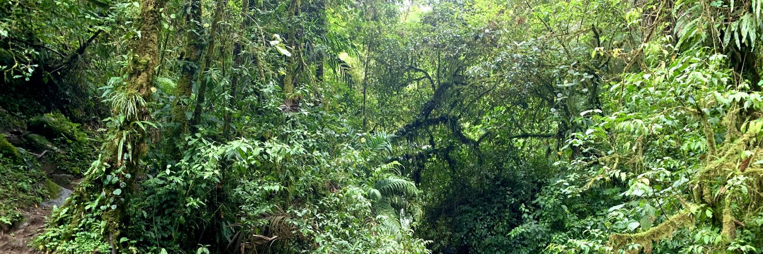 Miriam Betancourt banner