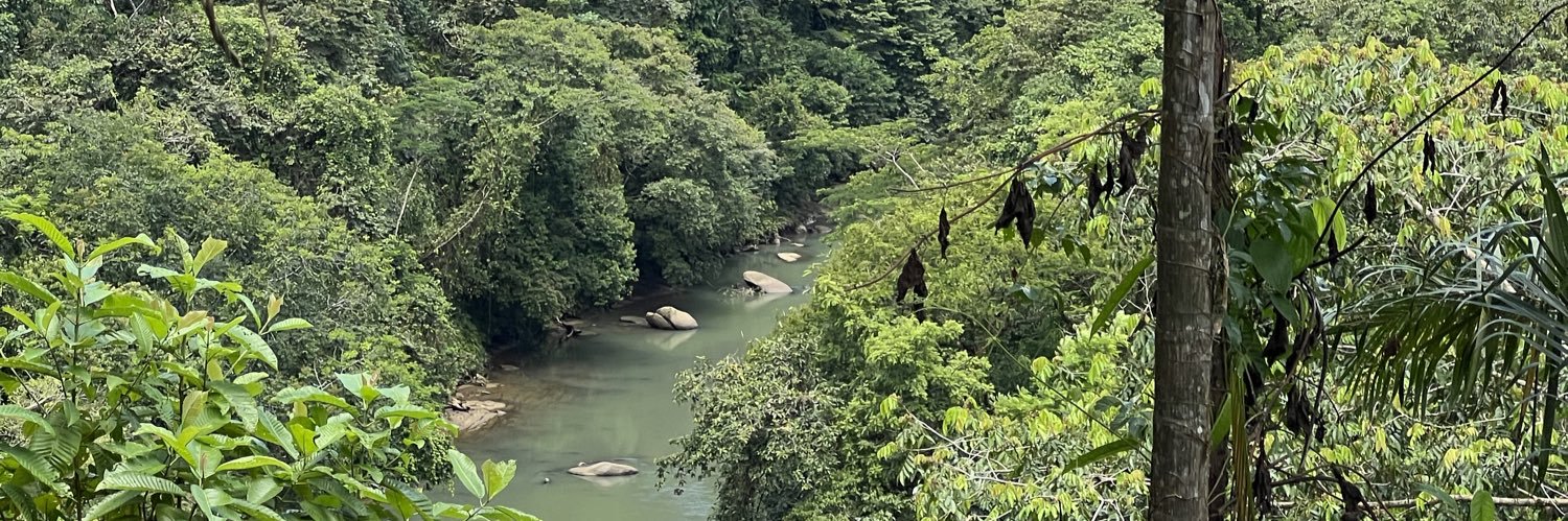 Freddy Abadía Machado banner