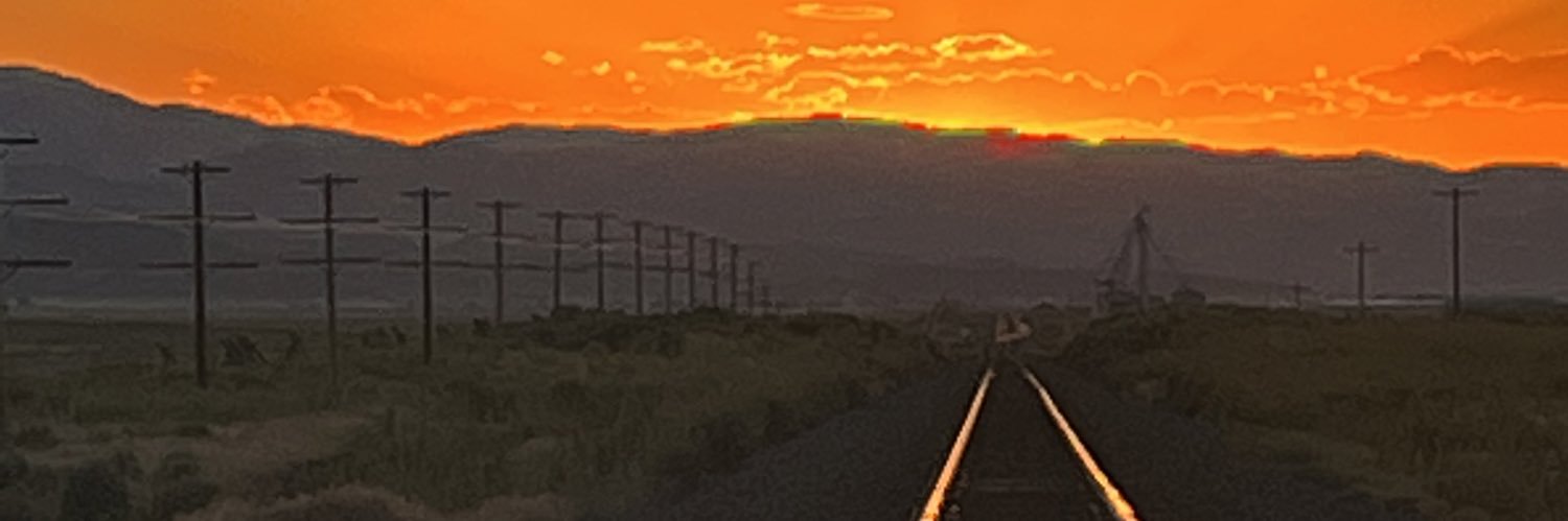nicolemillward's profile banner image