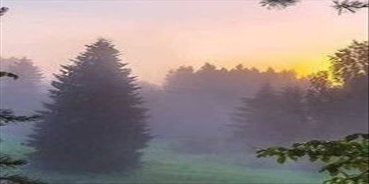 ABSchultzsNJ's profile banner image