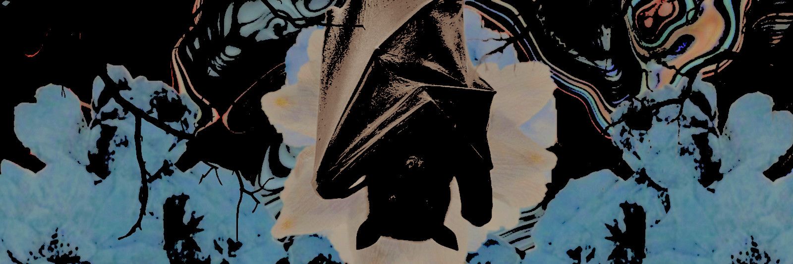 reaIiso's profile banner image