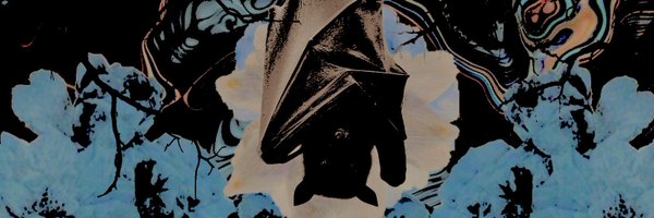 reaIiso Profile Banner