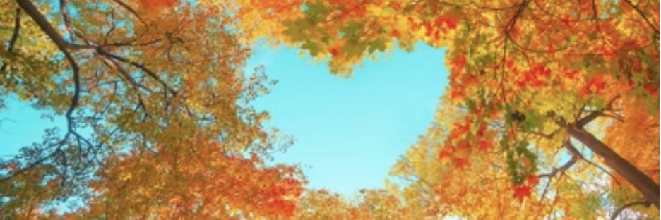Stephs919's profile banner image