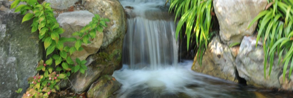 ohiosteelhead's profile banner image