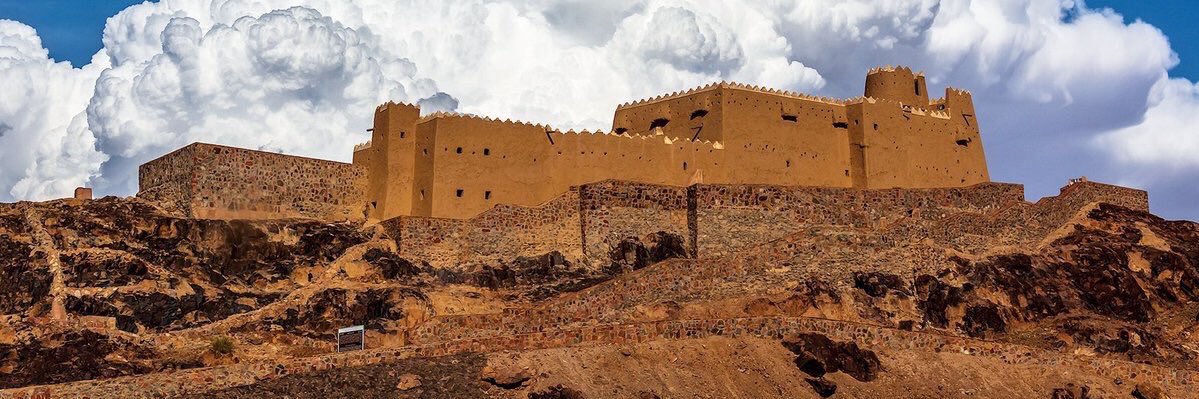 ثامر العلي banner