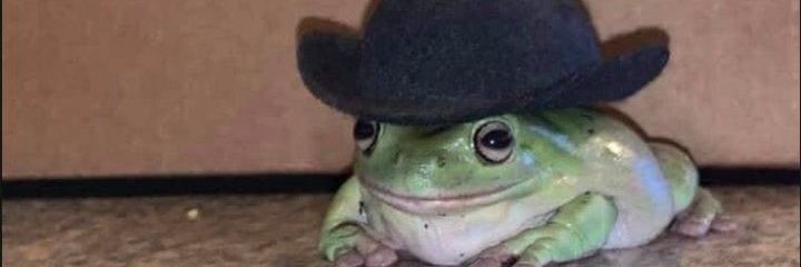 ManoloTEDDYY's profile banner image