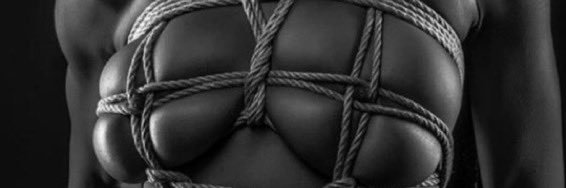 hi banner