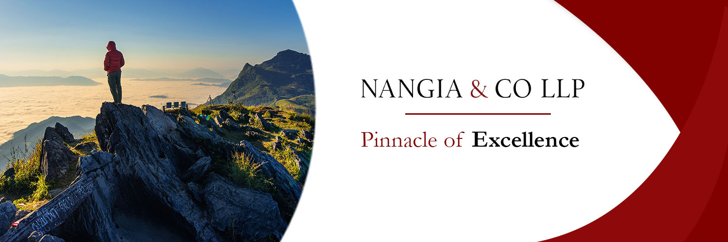 NangiaCo's profile banner image