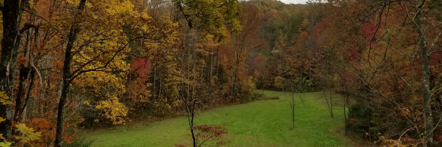 KDK11's profile banner image