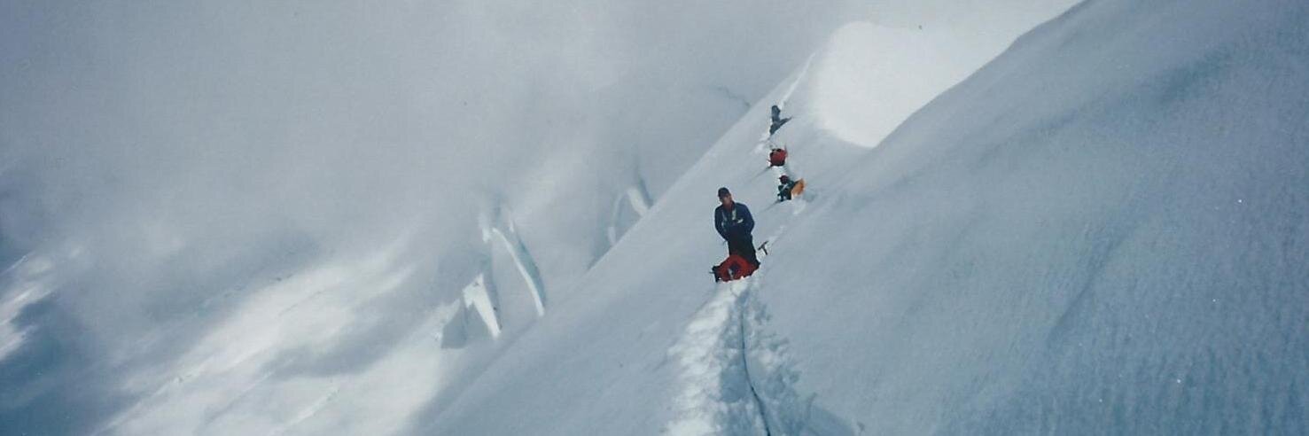 wildbillgreen banner