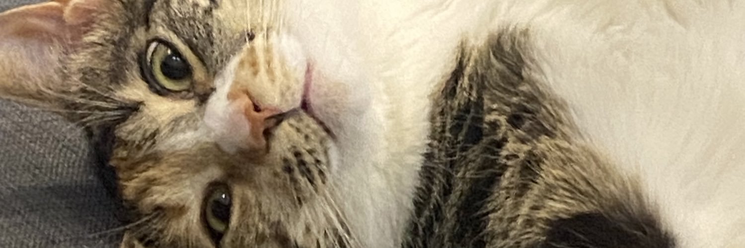 burakkdvrc's profile banner image