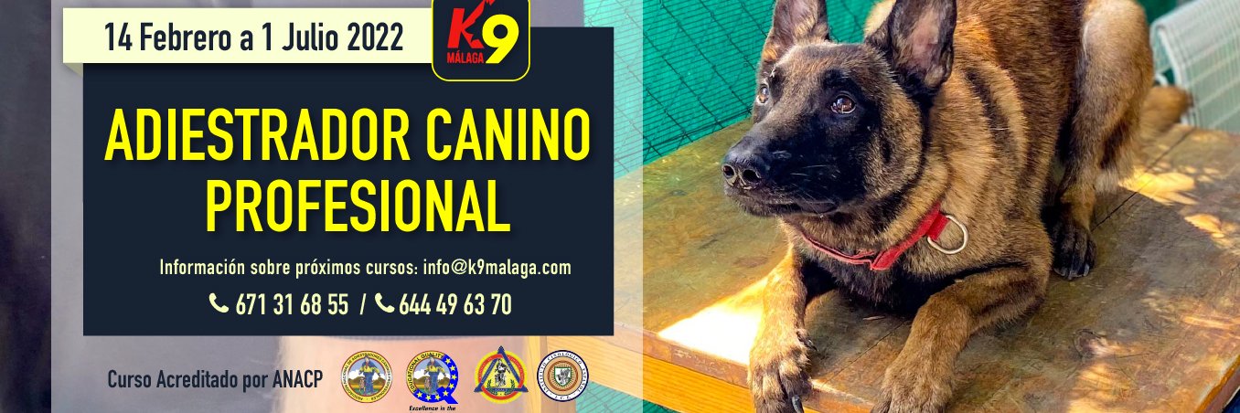 k9malaga's profile banner image