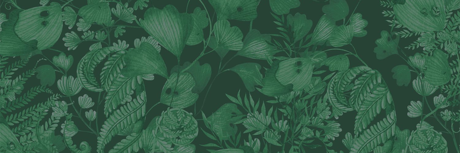 Electric Forest ⚡🌲 banner