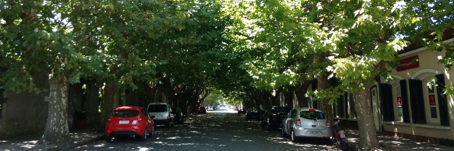 Élison Silva banner