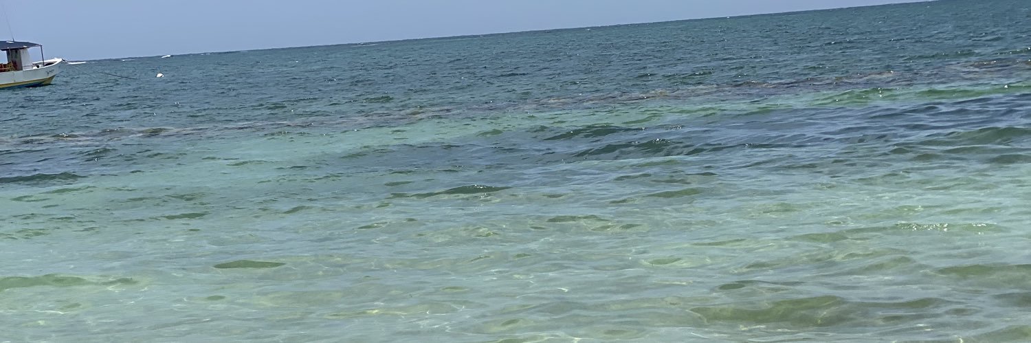 JenMStarr's profile banner image