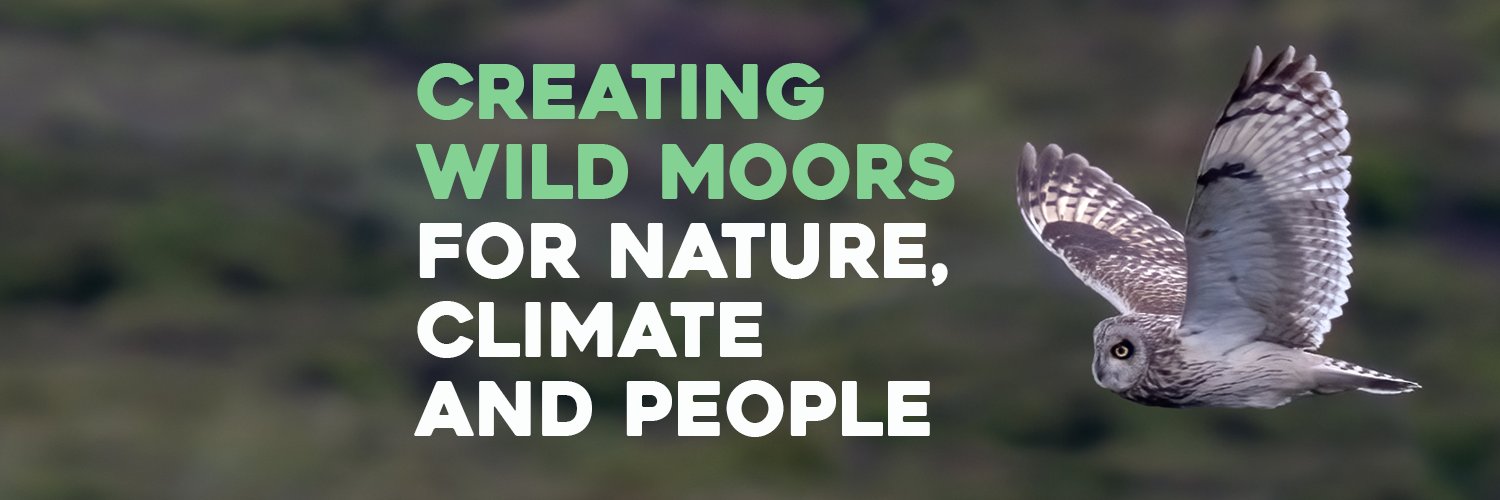 Wild Moors Profile Banner