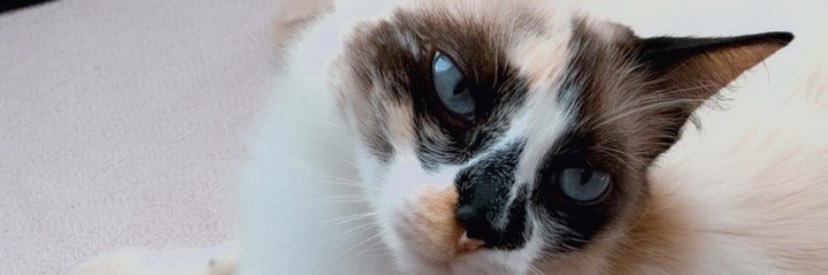 RaquellM_'s profile banner image