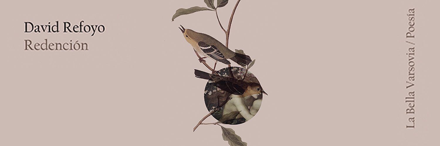 David Refoyo 🌾 banner