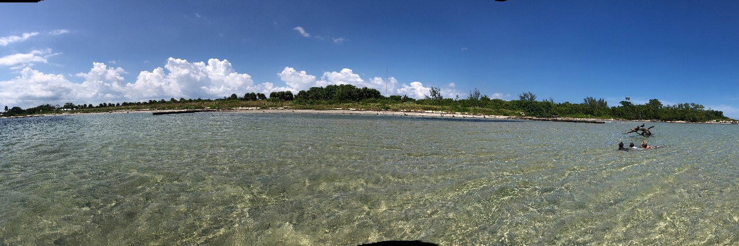 Daniel Eilemberg banner