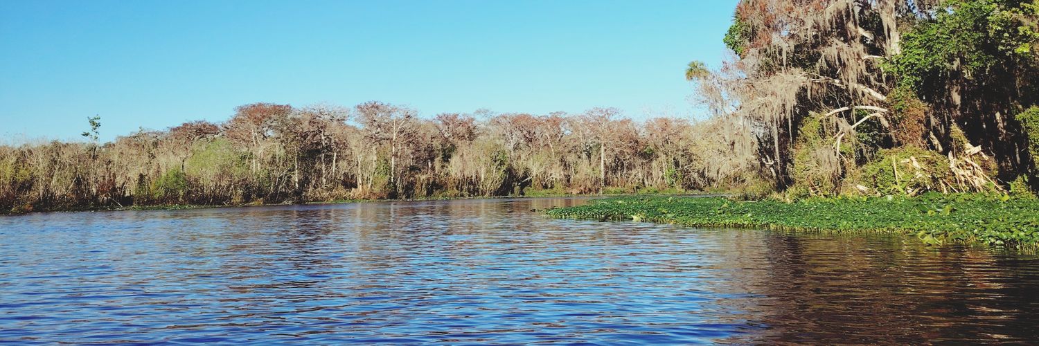 Rocio Font Ramos banner