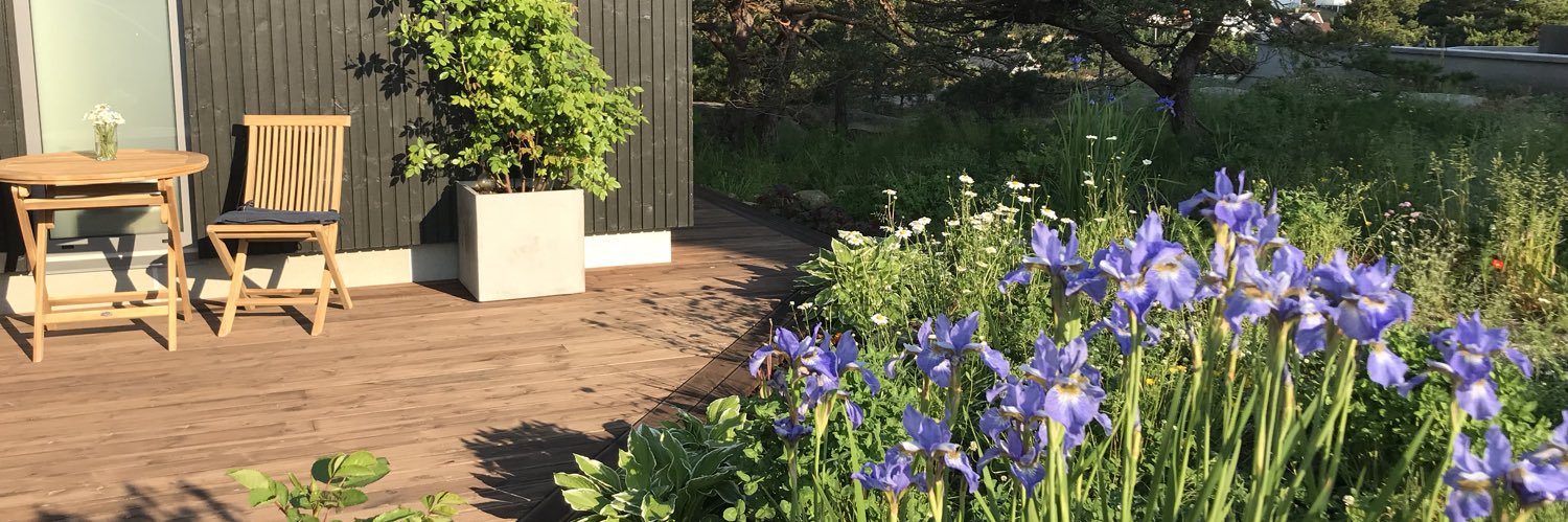 Hilde Gunn Avløyp banner