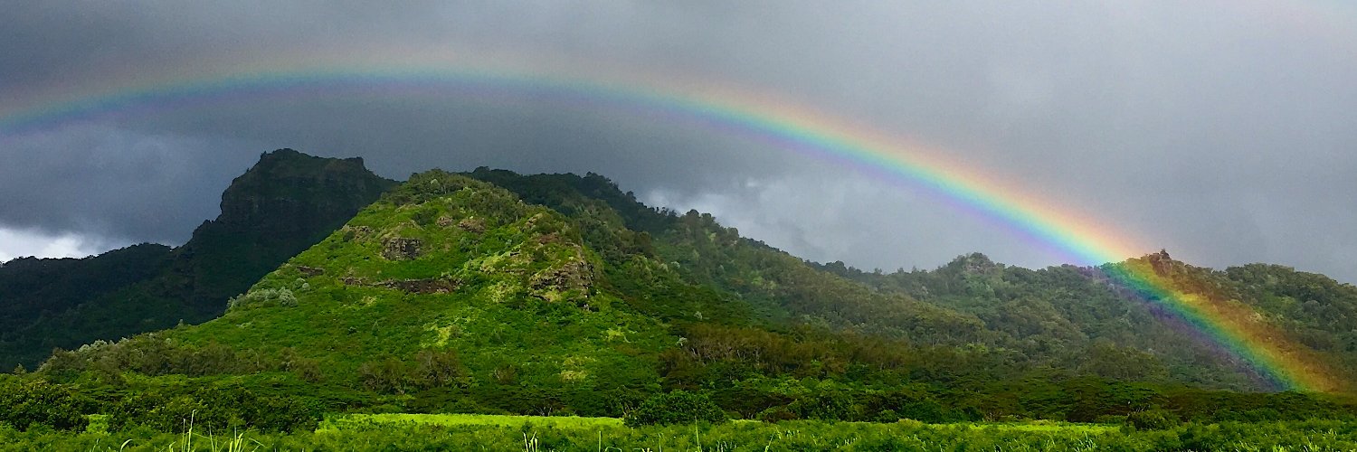 Go_Kauai's profile banner image