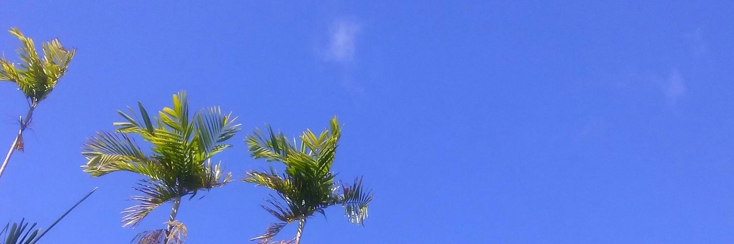 AshleyAriella's profile banner image
