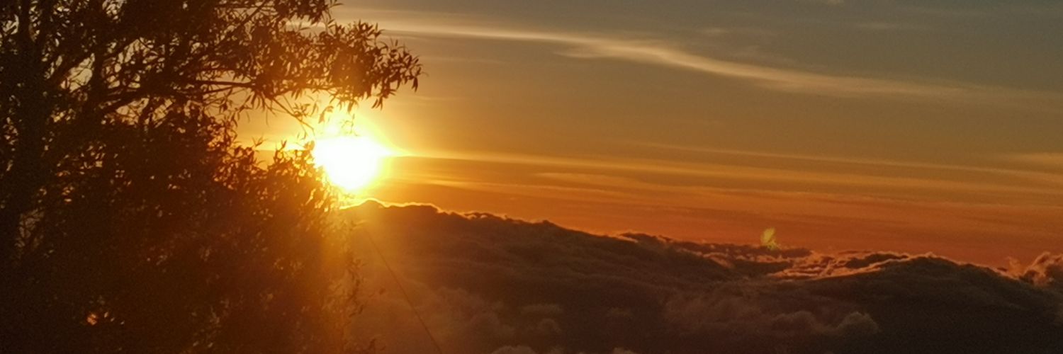 JOSÉ JAIME BARTLETT MORÁN banner