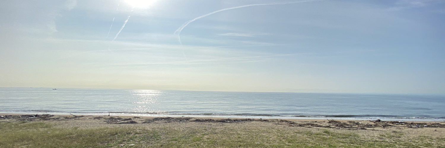 三冠王わかめ banner