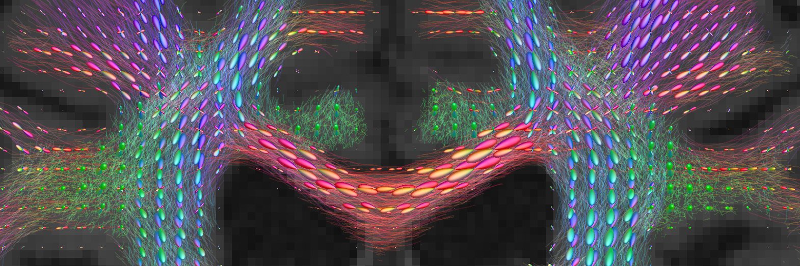 Timo Roine @timoroine.bsky.social banner