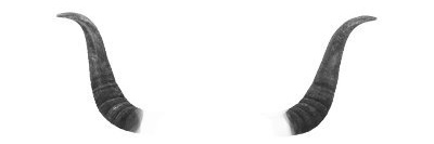 underpsi 🦬🧲 banner