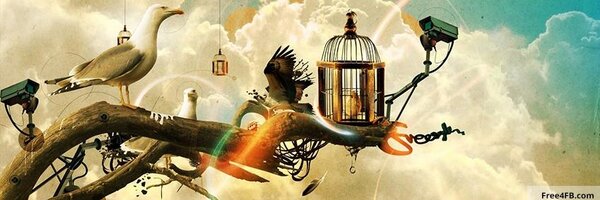 LFLibraries Profile Banner