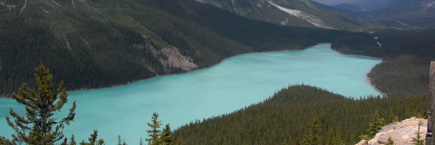 Jamie Johnson banner