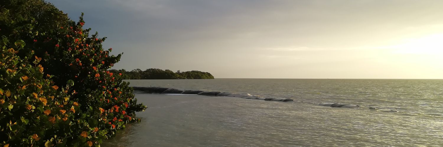 b4lam's profile banner image