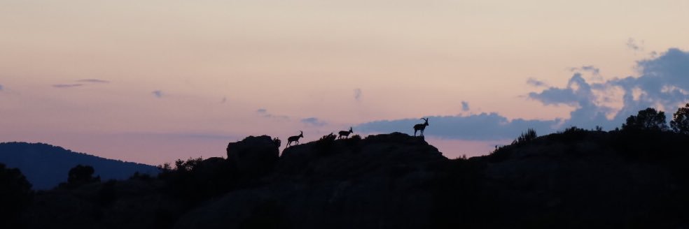 Sergi García banner