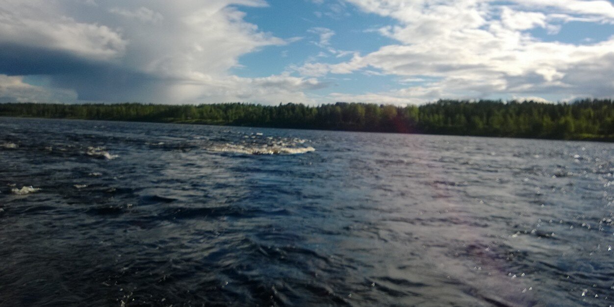 sallatells's profile banner image