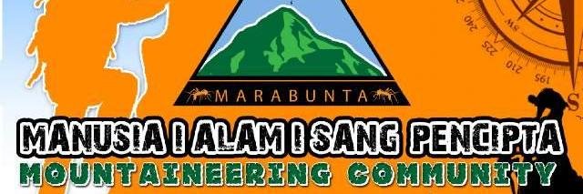 paraMarabunta's profile banner image