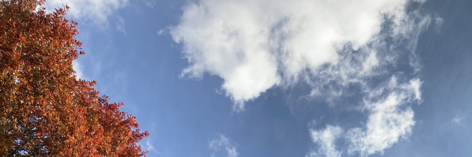 larbear_72's profile banner image