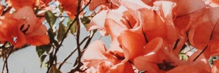 JenniferArandaA's profile banner image