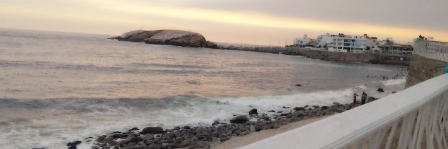 BrunellaNew's profile banner image