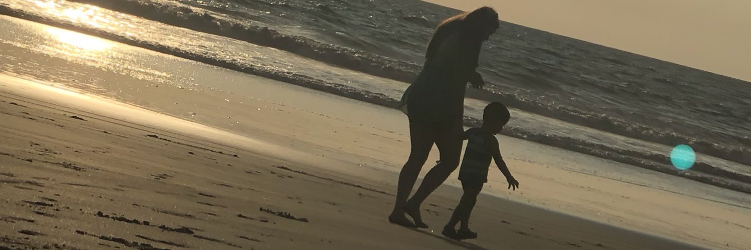 Lis.Z banner