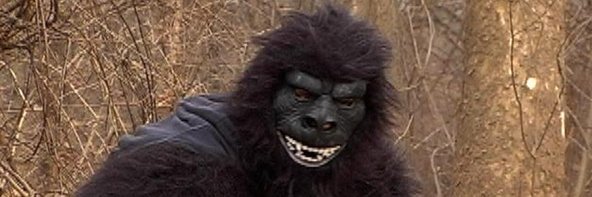 Gorilla Lawn Bowling Collective banner