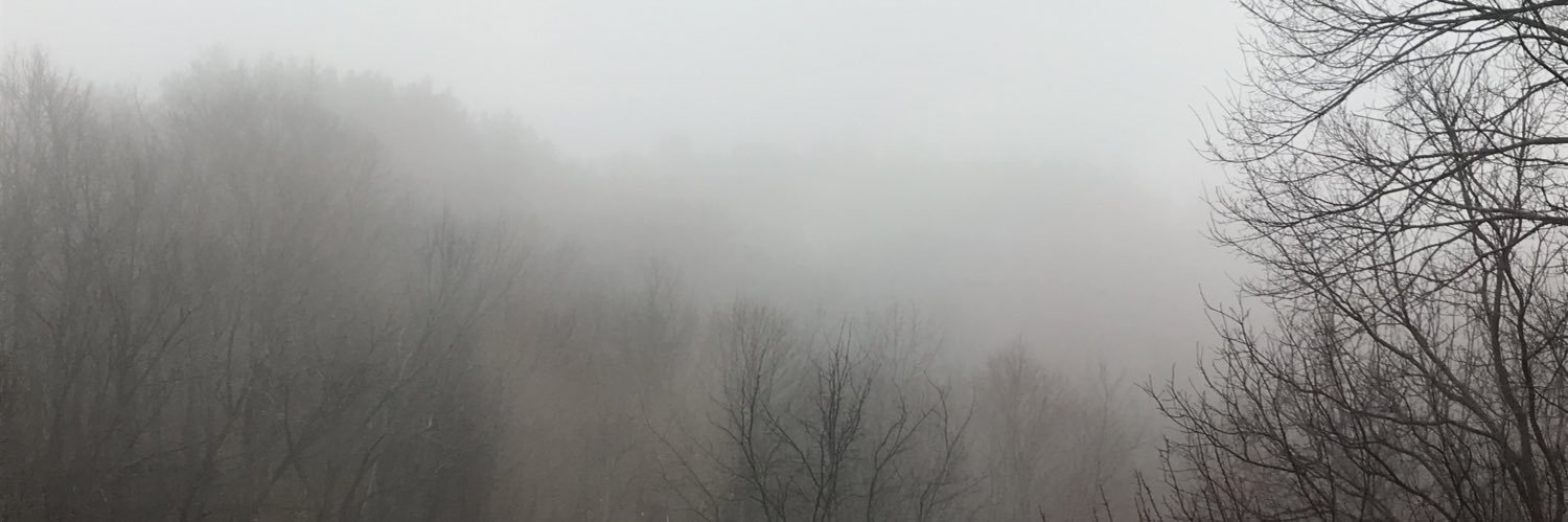 tlee329a's profile banner image