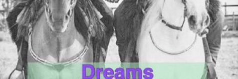 sweetdream86a's profile banner image
